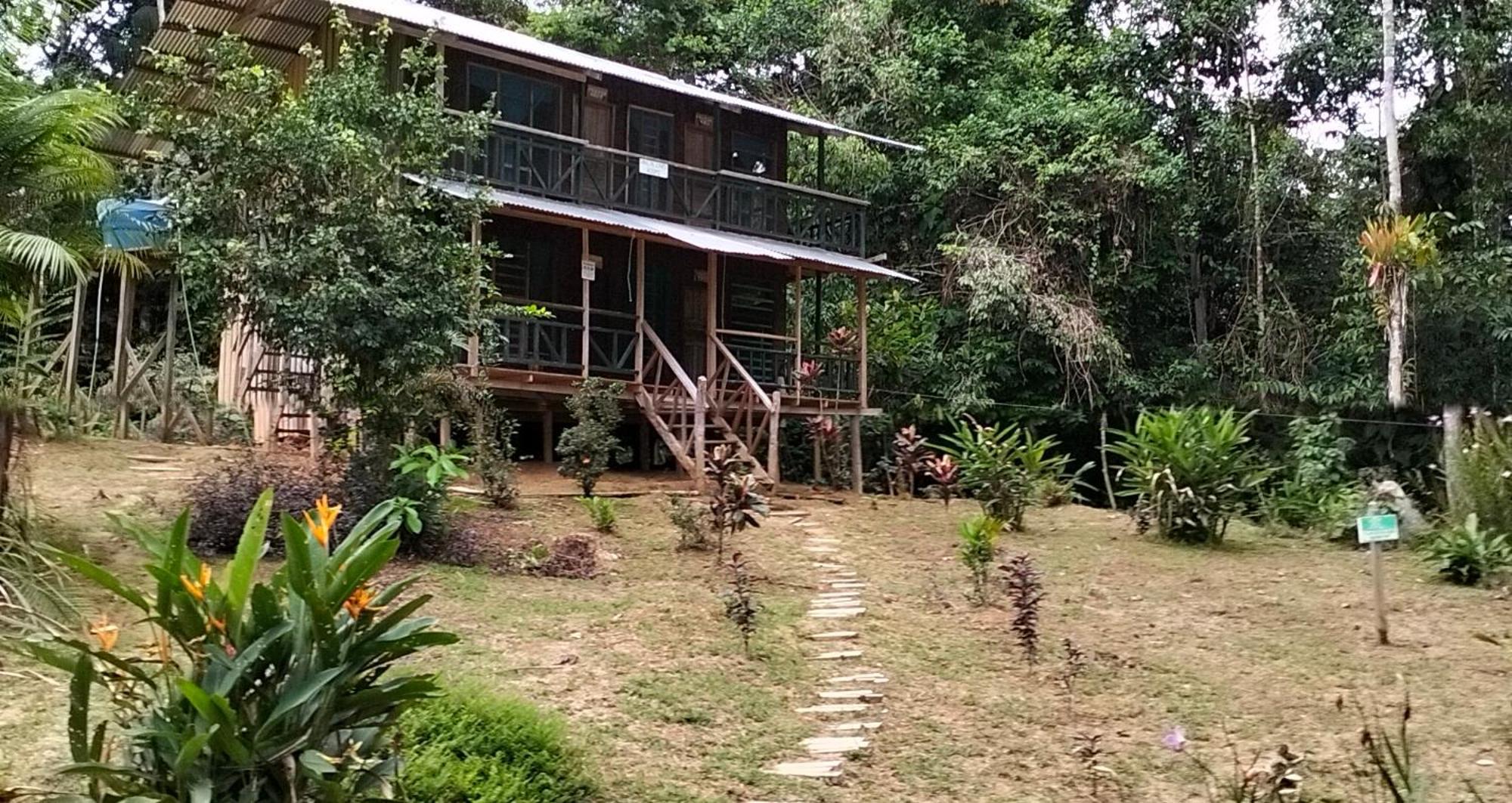 Cabañas eco lógicas mu'ü Loreto Mocagua Exterior foto